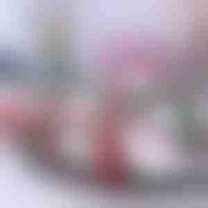 Weihnachtszug | TRAINMAS